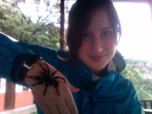 Things not to be afraid of: tarantulas. They have never killed anyone. They just get a bad rep for being big and hairy!